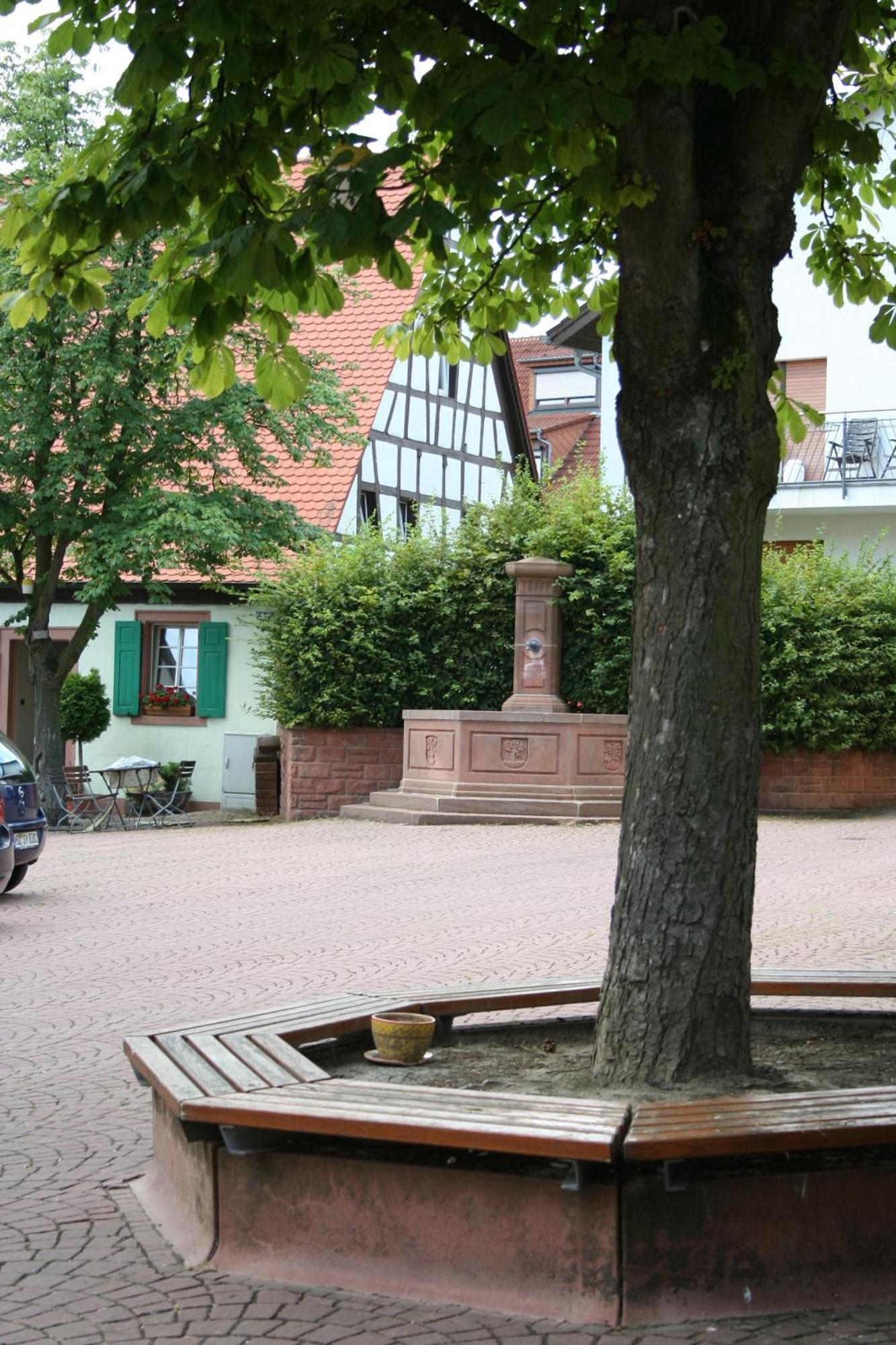 Landhotel Sickinger Hof Walldorf  Bagian luar foto